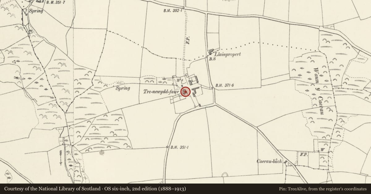 Ordnance Survey six-inch map, 2nd edition (1888–1913) covering the location of Trenewydd Fawr, Llanrhian, Pembrokeshire, with a pin at the register's coordinates