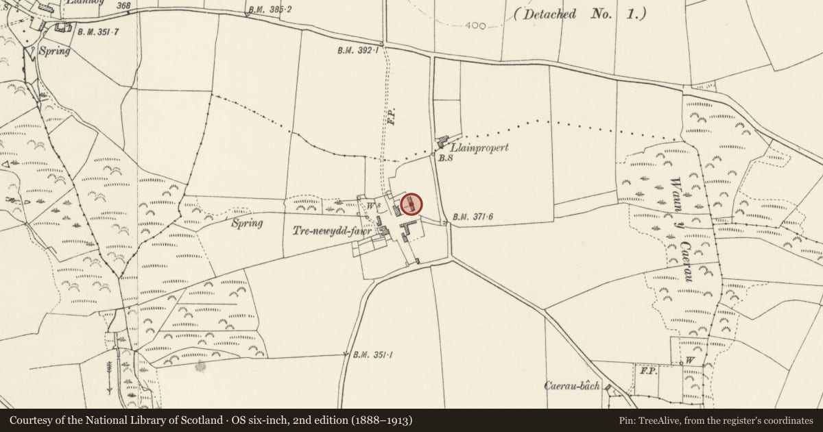 Ordnance Survey six-inch map, 2nd edition (1888–1913) covering the location of Range of Outbuildings on E.side of Farmyard at Trenewydd Fawr, Llanrhian, Pembrokeshire, with a pin at the register's coordinates