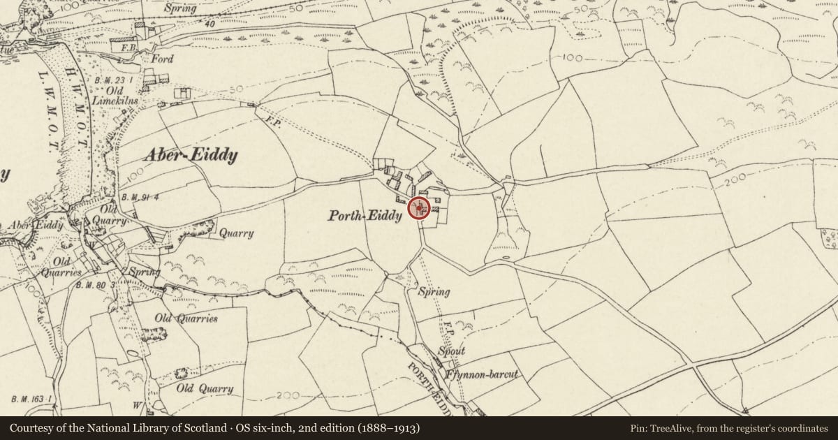 Ordnance Survey six-inch map, 2nd edition (1888–1913) covering the location of Range of Outbuilding along roadside at Porthiddy Farmhouse, Llanrhian, Pembrokeshire, with a pin at the register's coordinates