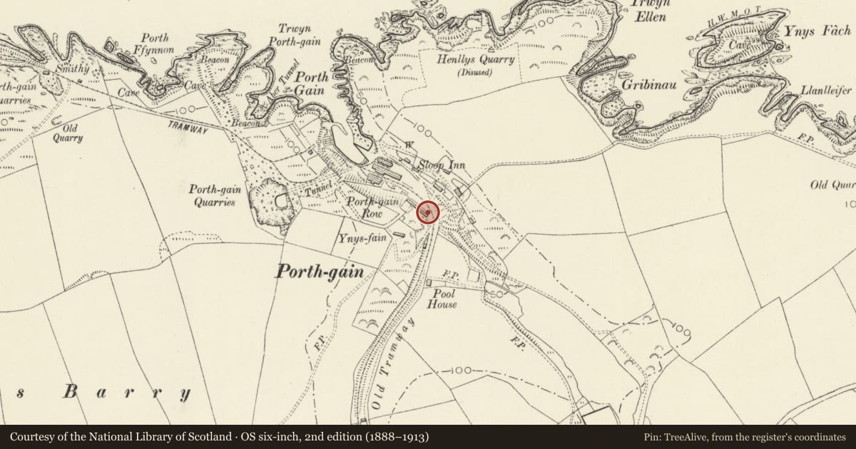 Ordnance Survey six-inch map, 2nd edition (1888–1913) covering the location of One of Five cottages making up Y Stryd/The Terrace, Llanrhian, Pembrokeshire, with a pin at the register's coordinates
