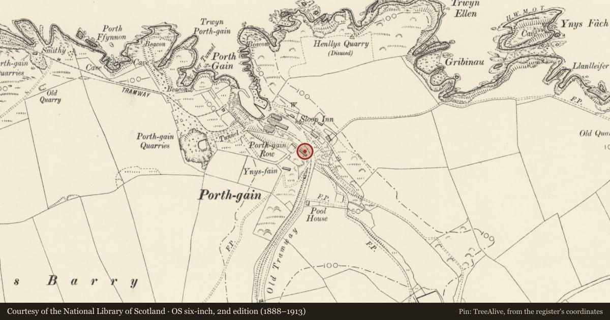 Ordnance Survey six-inch map, 2nd edition (1888–1913) covering the location of One of Five Cottages making up Y Stryd/The Terrace, Llanrhian, Pembrokeshire, with a pin at the register's coordinates