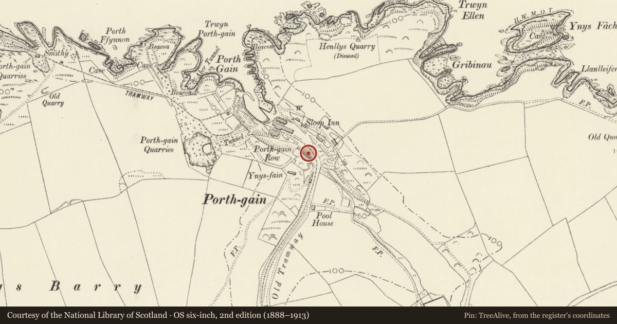 Ordnance Survey six-inch map, 2nd edition (1888–1913) covering the location of One of Five Cottages making up Y Stryd/The Terrace, Llanrhian, Pembrokeshire, with a pin at the register's coordinates