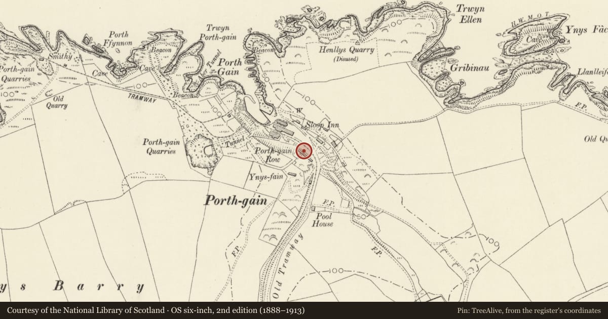 Ordnance Survey six-inch map, 2nd edition (1888–1913) covering the location of One of Five Cottages making up Y Stryd/The Terrace, Llanrhian, Pembrokeshire, with a pin at the register's coordinates