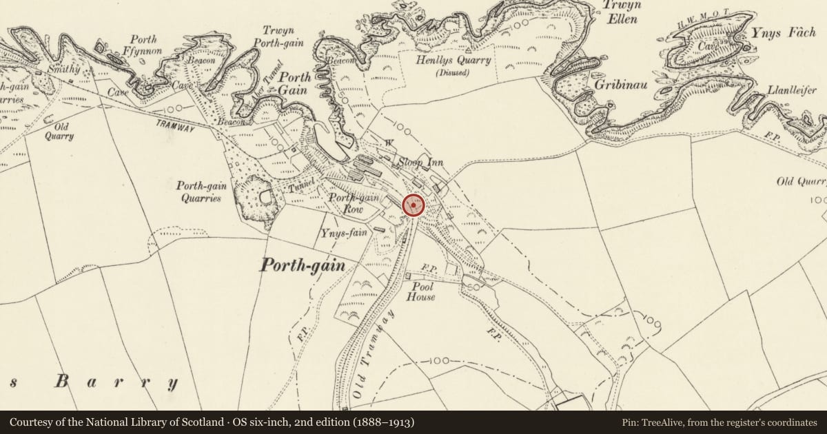 Ordnance Survey six-inch map, 2nd edition (1888–1913) covering the location of Telephone Call-box in front of Y Stryd/The Terrace, Llanrhian, Pembrokeshire, with a pin at the register's coordinates