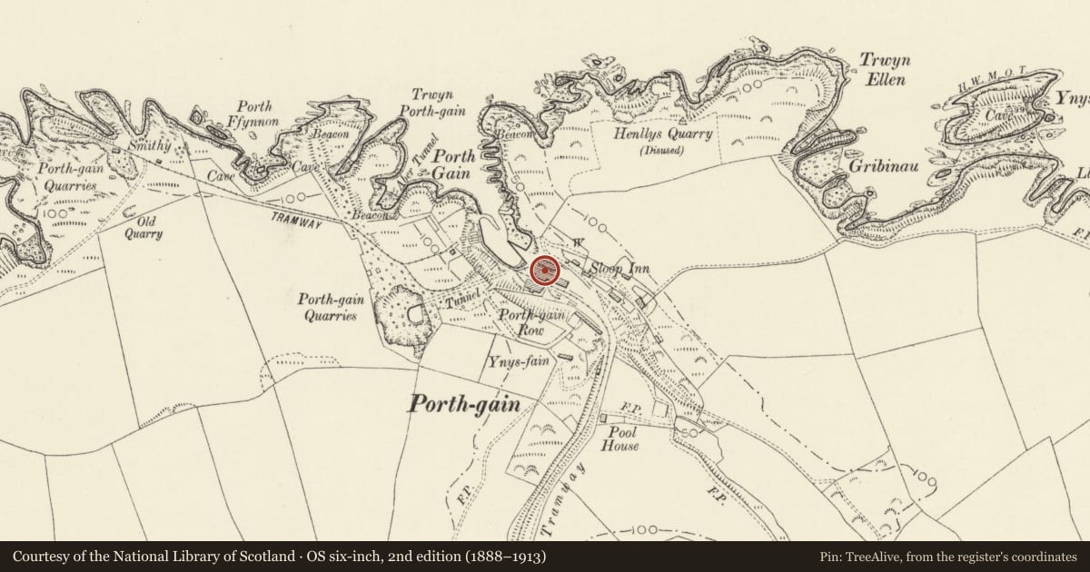Ordnance Survey six-inch map, 2nd edition (1888–1913) covering the location of Ty Mawr, Porthgain, Llanrhian, Pembrokeshire, with a pin at the register's coordinates