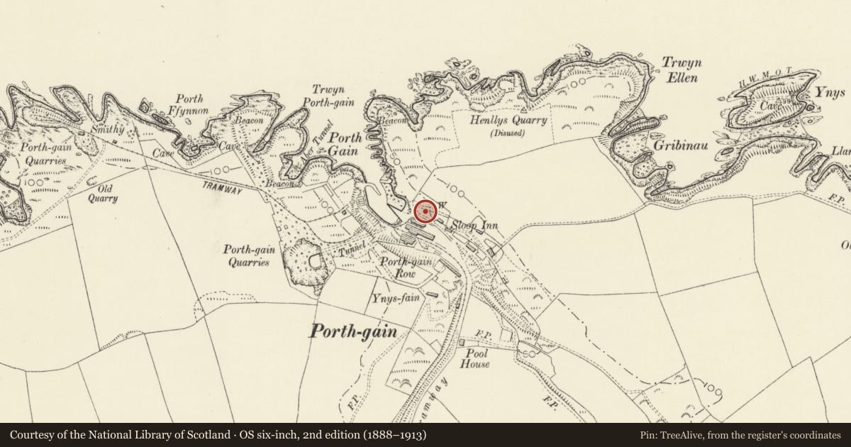 Ordnance Survey six-inch map, 2nd edition (1888–1913) covering the location of Limekiln adjoining Kiln House, Llanrhian, Pembrokeshire, with a pin at the register's coordinates