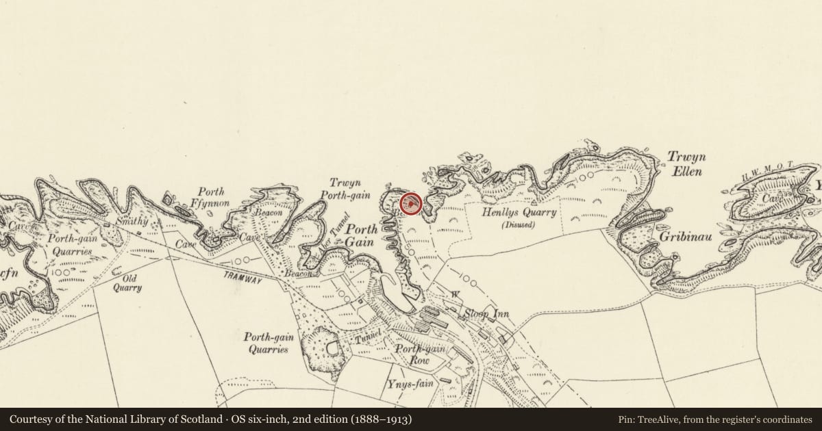 Ordnance Survey six-inch map, 2nd edition (1888–1913) covering the location of Navigation Beacon on headland to E. of entry to Porthgain Harbour, Llanrhian, Pembrokeshire, with a pin at the register's coordinates