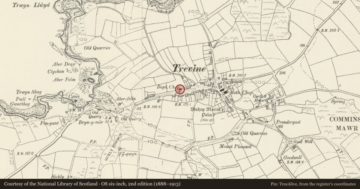 Ordnance Survey six-inch map, 2nd edition (1888–1913) covering the location of Capel Bedyddwyr Elim/Elim Baptist Chapel, Llanrhian, Pembrokeshire, with a pin at the register's coordinates