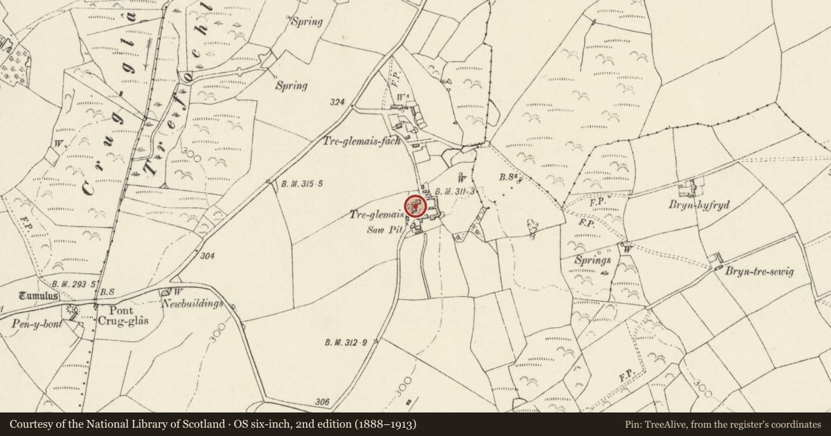 Ordnance Survey six-inch map, 2nd edition (1888–1913) covering the location of Treglemais Fawr, Llanrhian, Pembrokeshire, with a pin at the register's coordinates