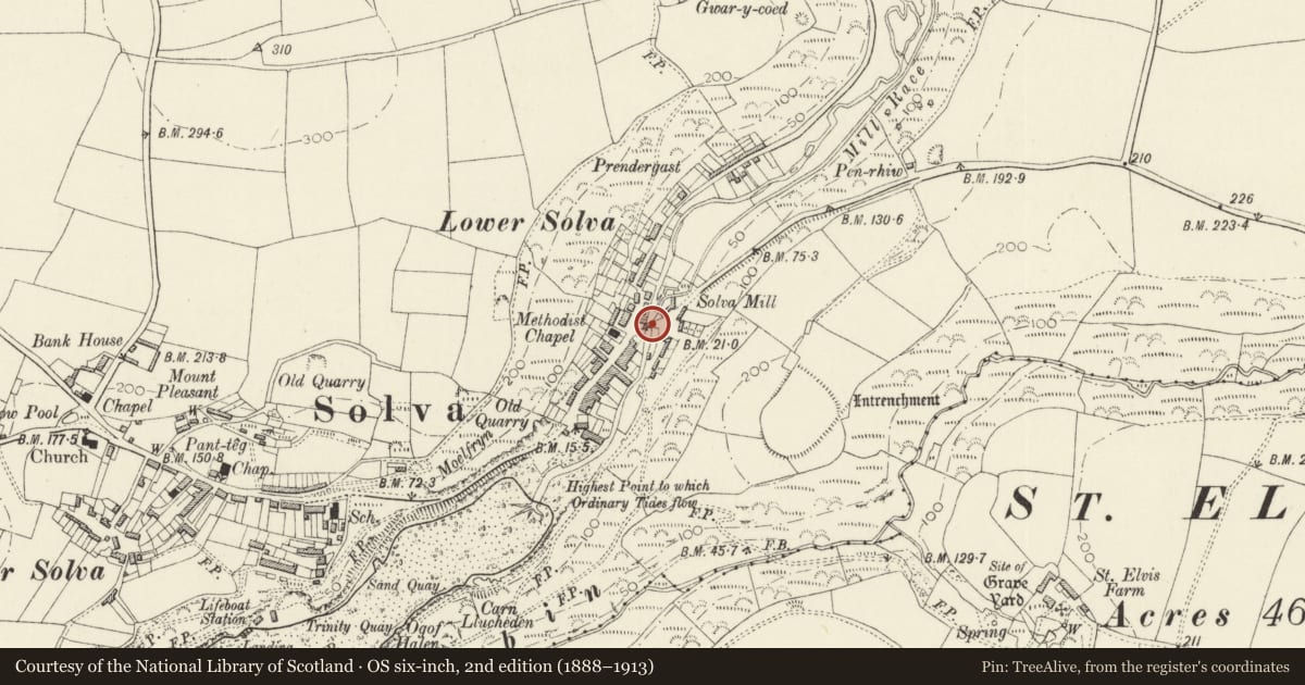 Ordnance Survey six-inch map, 2nd edition (1888–1913) covering the location of Solva Bridge, Pembrokeshire, with a pin at the register's coordinates