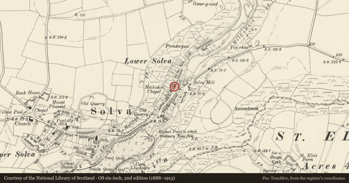 Ordnance Survey six-inch map, 2nd edition (1888–1913) covering the location of The Cambrian Inn, Solva, Pembrokeshire, with a pin at the register's coordinates