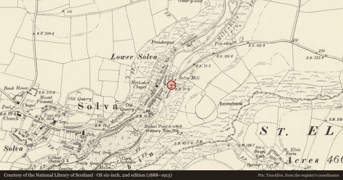 Ordnance Survey six-inch map, 2nd edition (1888–1913) covering the location of Limekiln adjacent to the Smithy, Solva, Pembrokeshire, with a pin at the register's coordinates