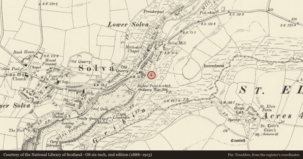 Ordnance Survey six-inch map, 2nd edition (1888–1913) covering the location of Limekiln adjacent to Brookside, Solva, Pembrokeshire, with a pin at the register's coordinates