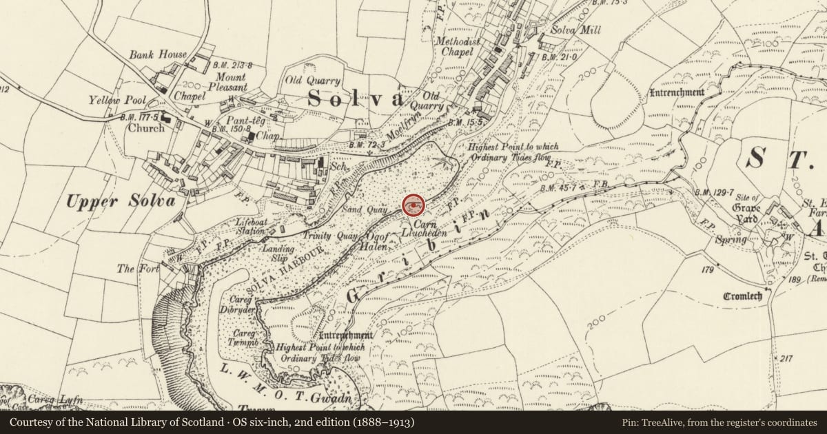 Ordnance Survey six-inch map, 2nd edition (1888–1913) covering the location of Limekiln on S.Side of Estuary, Solva, Pembrokeshire, with a pin at the register's coordinates