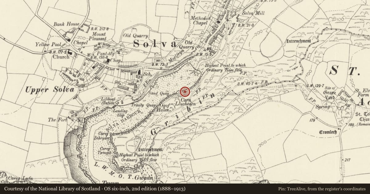 Ordnance Survey six-inch map, 2nd edition (1888–1913) covering the location of Limekiln on S.Side of Estuary, Solva, Pembrokeshire, with a pin at the register's coordinates
