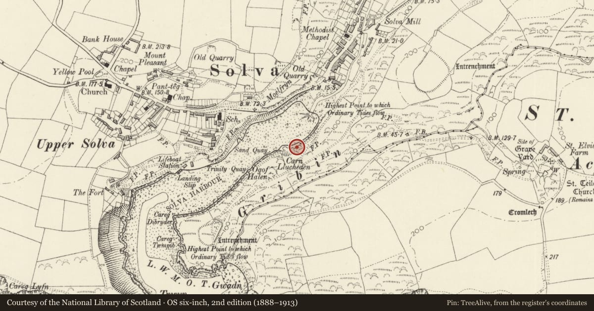 Ordnance Survey six-inch map, 2nd edition (1888–1913) covering the location of Limekiln on S.Side of Estuary, Solva, Pembrokeshire, with a pin at the register's coordinates