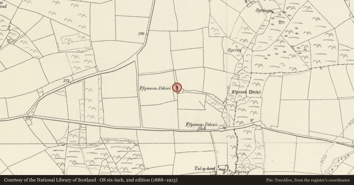 Ordnance Survey six-inch map, 2nd edition (1888–1913) covering the location of Ffynnonddewi (Brawdy), Solva, Pembrokeshire, with a pin at the register's coordinates