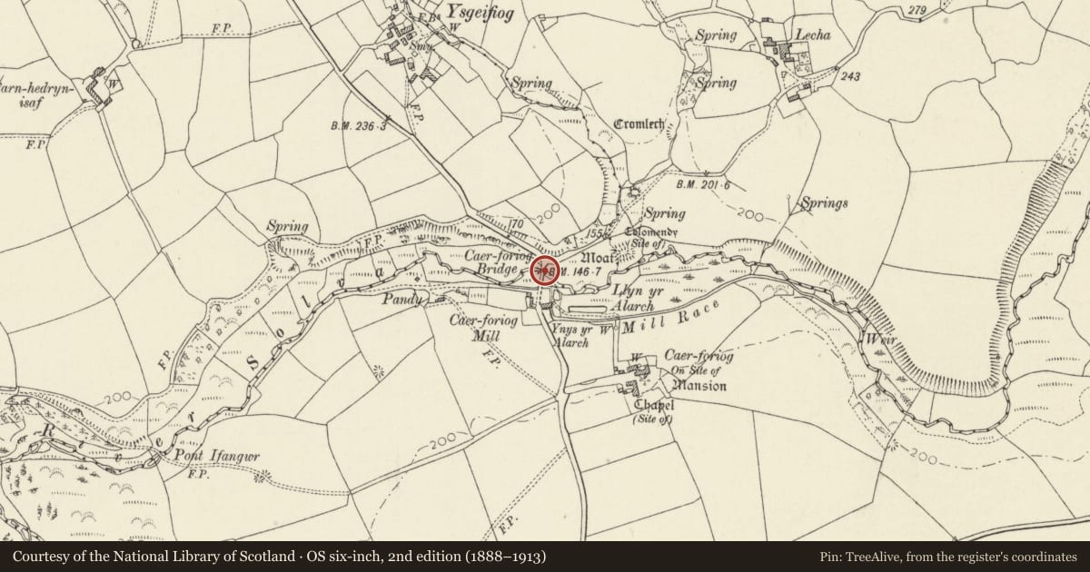 Ordnance Survey six-inch map, 2nd edition (1888–1913) covering the location of Caerforiog Bridge, Solva, Pembrokeshire, with a pin at the register's coordinates