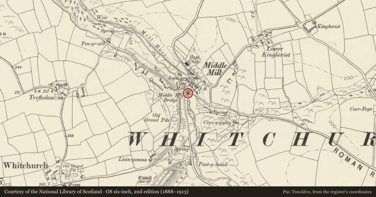 Ordnance Survey six-inch map, 2nd edition (1888–1913) covering the location of Middle Mill Bridge, Solva, Pembrokeshire, with a pin at the register's coordinates