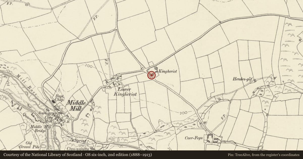 Ordnance Survey six-inch map, 2nd edition (1888–1913) covering the location of Lofted Cartshed & Stable at Kingheriot, Solva, Pembrokeshire, with a pin at the register's coordinates