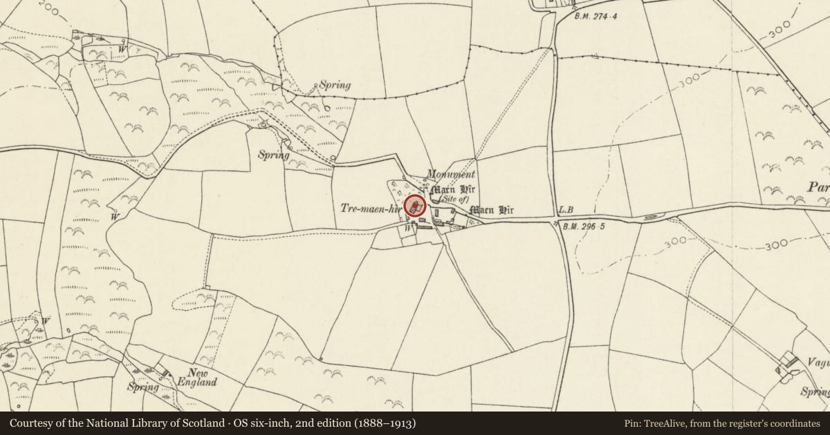 Ordnance Survey six-inch map, 2nd edition (1888–1913) covering the location of Tremaenhir, Solva, Pembrokeshire, with a pin at the register's coordinates
