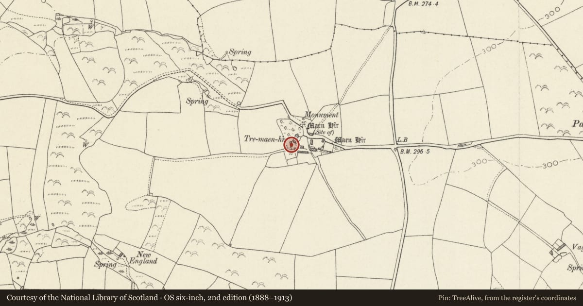 Ordnance Survey six-inch map, 2nd edition (1888–1913) covering the location of Lofted Stable to SW of Tremaenhir, Solva, Pembrokeshire, with a pin at the register's coordinates
