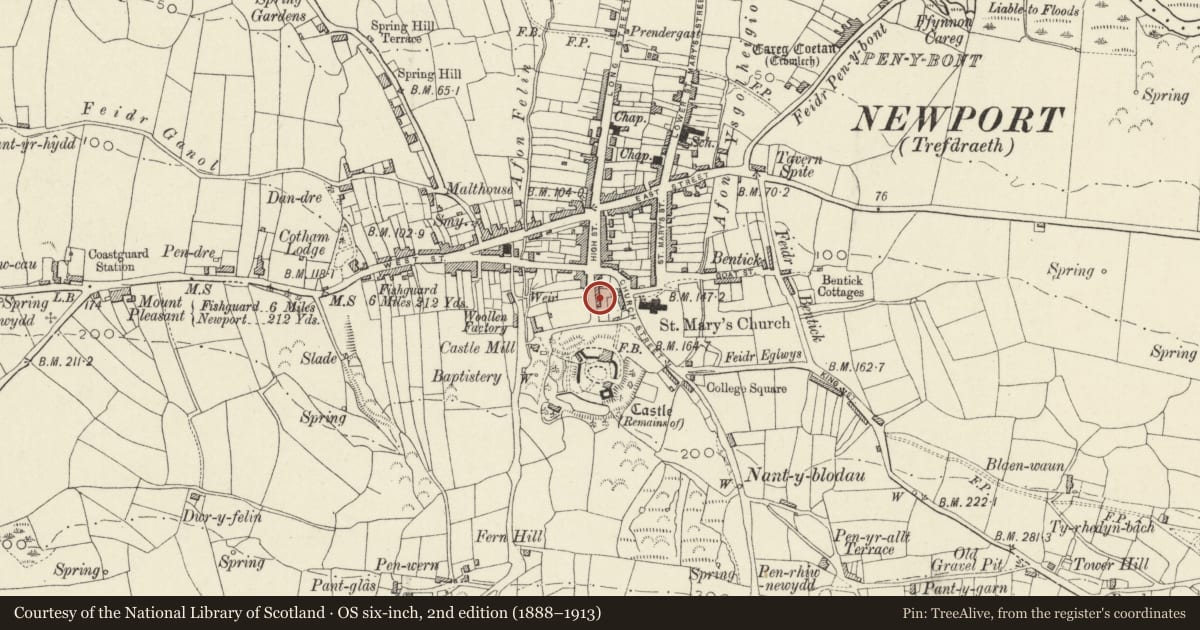 Ordnance Survey six-inch map, 2nd edition (1888–1913) covering the location of Castle Green, Newport, Pembrokeshire, with a pin at the register's coordinates