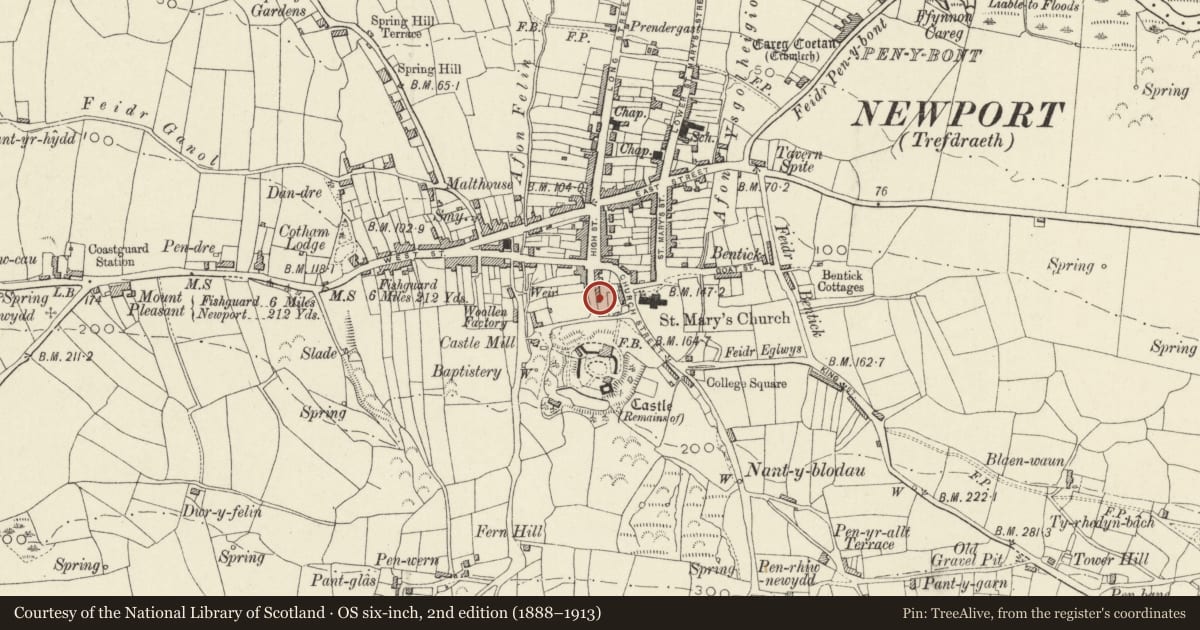 Ordnance Survey six-inch map, 2nd edition (1888–1913) covering the location of Castle Green, Newport, Pembrokeshire, with a pin at the register's coordinates