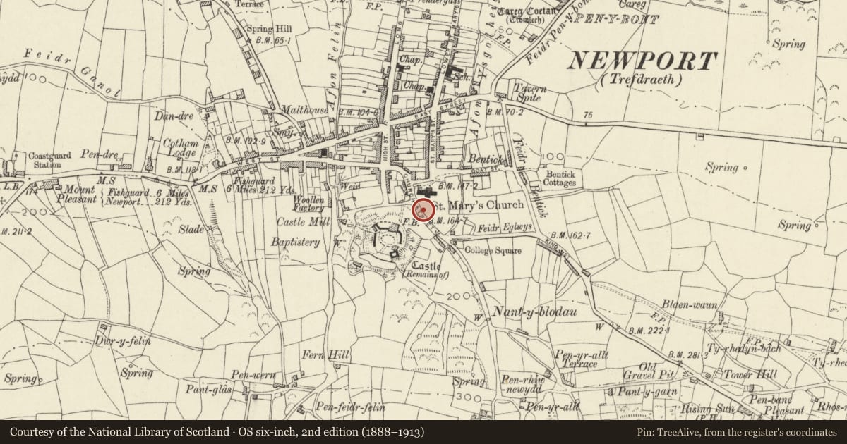 Ordnance Survey six-inch map, 2nd edition (1888–1913) covering the location of Walls of Churchyard of Church of St Mary, Newport, Pembrokeshire, with a pin at the register's coordinates