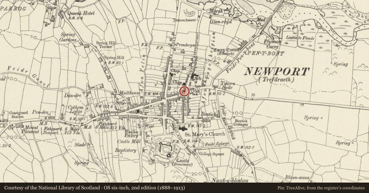Ordnance Survey six-inch map, 2nd edition (1888–1913) covering the location of Ivy House (The Cnapan Restaurant), Newport, Pembrokeshire, with a pin at the register's coordinates