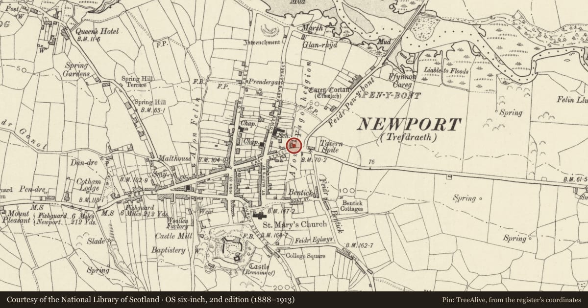 Ordnance Survey six-inch map, 2nd edition (1888–1913) covering the location of Llys Meddyg, Newport, Pembrokeshire, with a pin at the register's coordinates