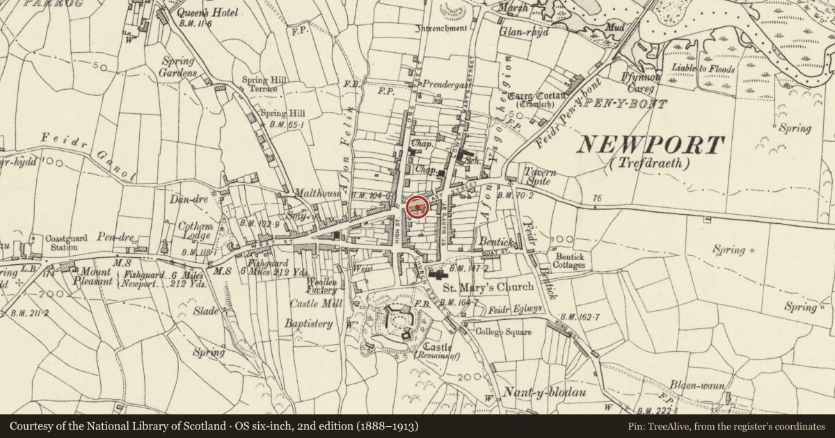 Ordnance Survey six-inch map, 2nd edition (1888–1913) covering the location of The Sessions House, Newport, Pembrokeshire, with a pin at the register's coordinates