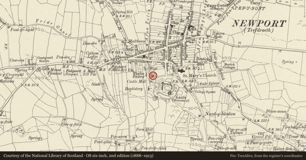 Ordnance Survey six-inch map, 2nd edition (1888–1913) covering the location of Ffynnon Felin, Newport, Pembrokeshire, with a pin at the register's coordinates