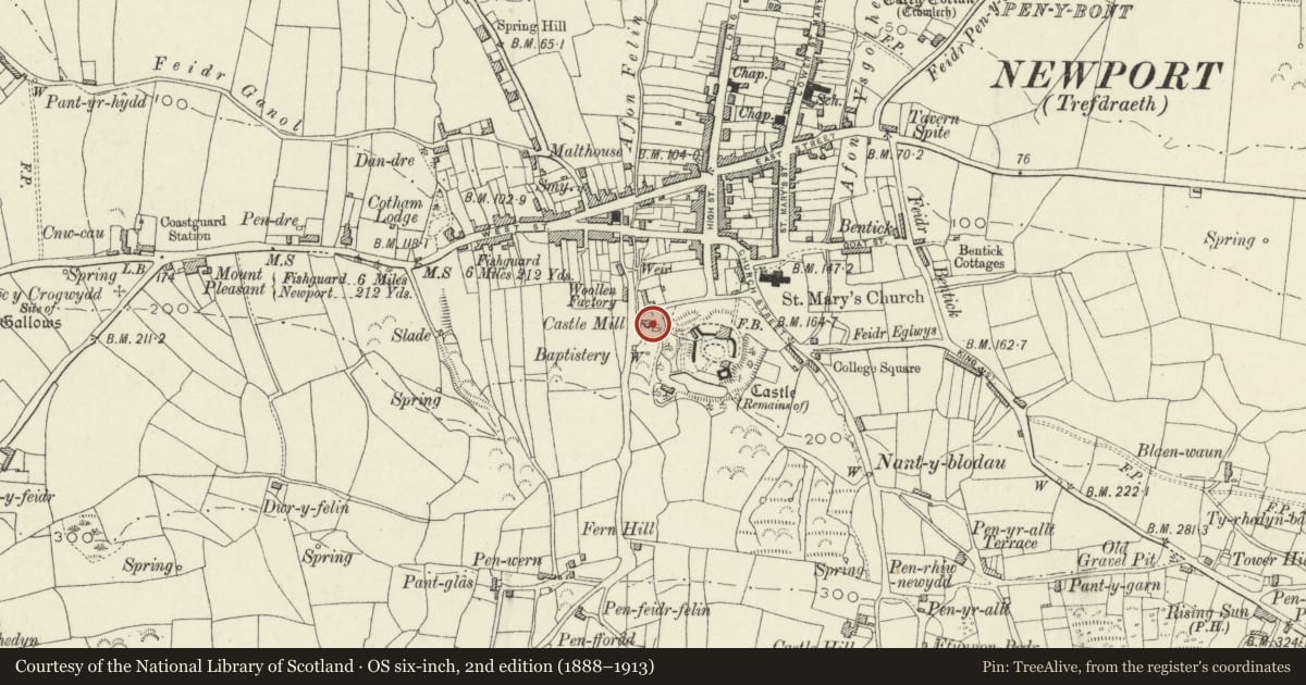 Ordnance Survey six-inch map, 2nd edition (1888–1913) covering the location of Castle Mill, Newport, Pembrokeshire, with a pin at the register's coordinates