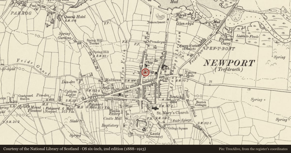 Ordnance Survey six-inch map, 2nd edition (1888–1913) covering the location of Bank Terrace, Newport, Pembrokeshire, with a pin at the register's coordinates