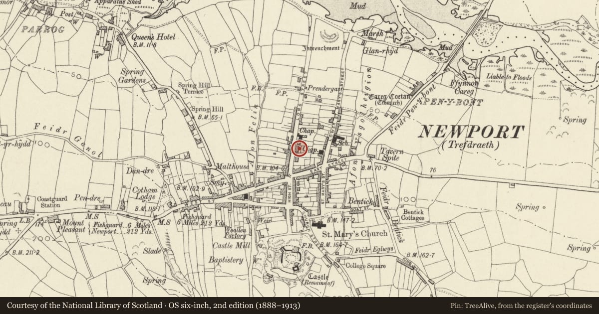Ordnance Survey six-inch map, 2nd edition (1888–1913) covering the location of Bank Terrace, Newport, Pembrokeshire, with a pin at the register's coordinates