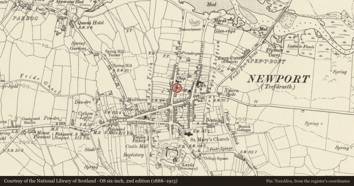Ordnance Survey six-inch map, 2nd edition (1888–1913) covering the location of Bank Terrace, Newport, Pembrokeshire, with a pin at the register's coordinates