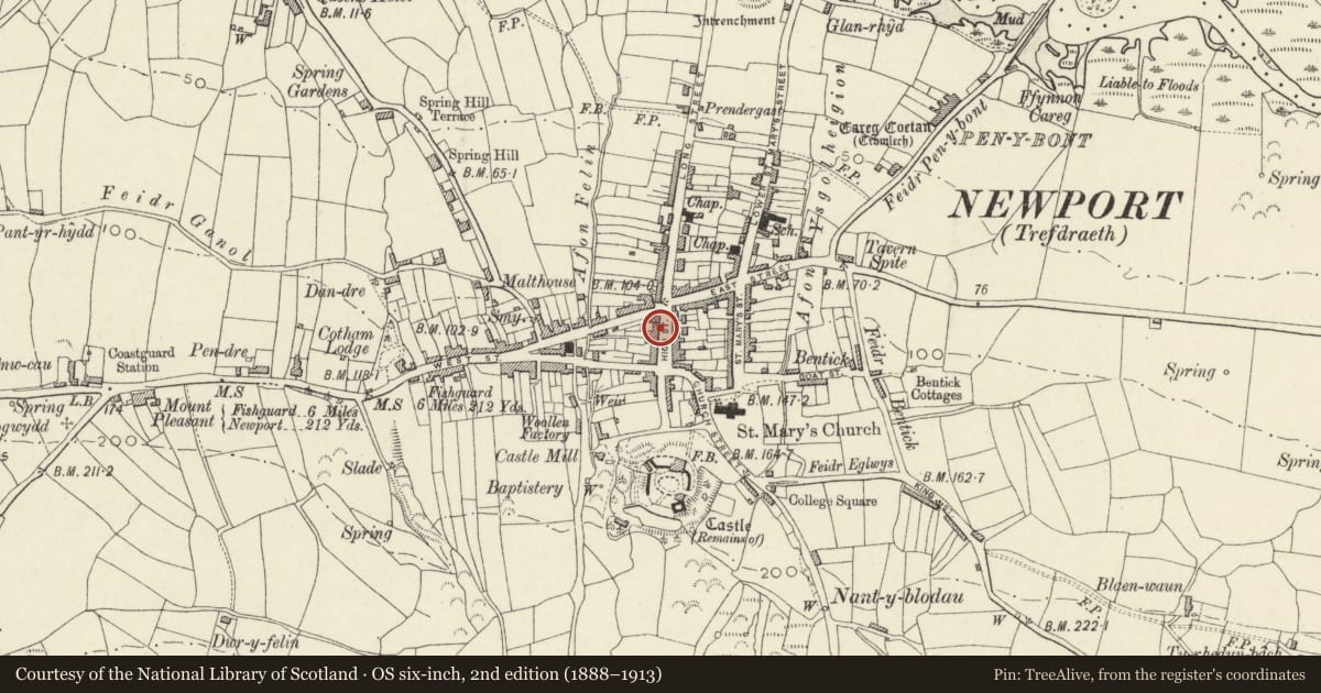 Ordnance Survey six-inch map, 2nd edition (1888–1913) covering the location of Melrose (D.B.Davies, Pharmacy), Newport, Pembrokeshire, with a pin at the register's coordinates