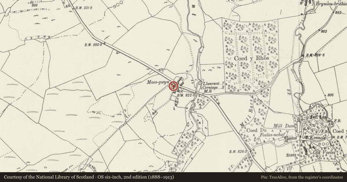 Ordnance Survey six-inch map, 2nd edition (1888–1913) covering the location of Farm building at Maes-gwyn, Pentrefoelas, Conwy, with a pin at the register's coordinates