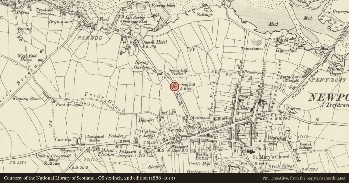 Ordnance Survey six-inch map, 2nd edition (1888–1913) covering the location of Spring Hill, Newport, Pembrokeshire, with a pin at the register's coordinates