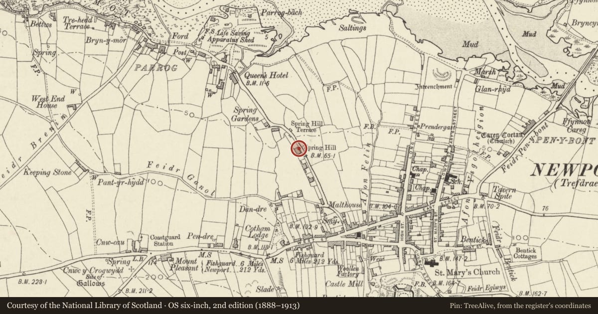 Ordnance Survey six-inch map, 2nd edition (1888–1913) covering the location of Spring Hill, Newport, Pembrokeshire, with a pin at the register's coordinates