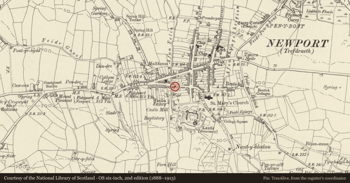 Ordnance Survey six-inch map, 2nd edition (1888–1913) covering the location of Arosfa, Newport, Pembrokeshire, with a pin at the register's coordinates