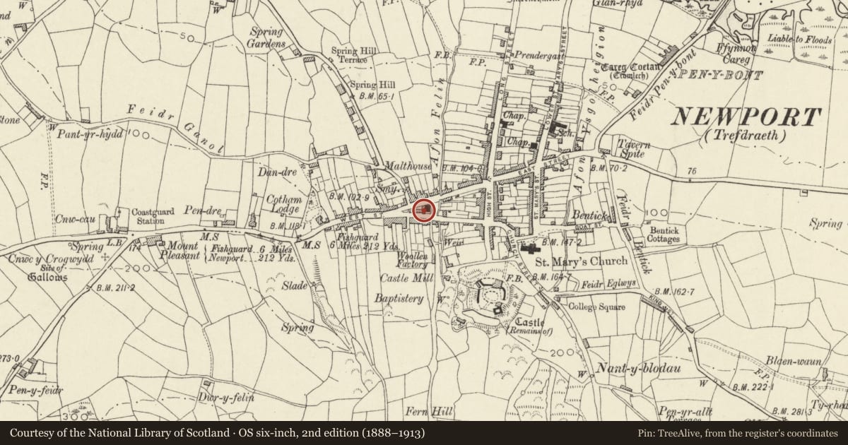 Ordnance Survey six-inch map, 2nd edition (1888–1913) covering the location of Temple Terrace, Newport, Pembrokeshire, with a pin at the register's coordinates