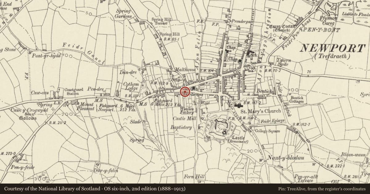 Ordnance Survey six-inch map, 2nd edition (1888–1913) covering the location of Victoria Lodge, Newport, Pembrokeshire, with a pin at the register's coordinates
