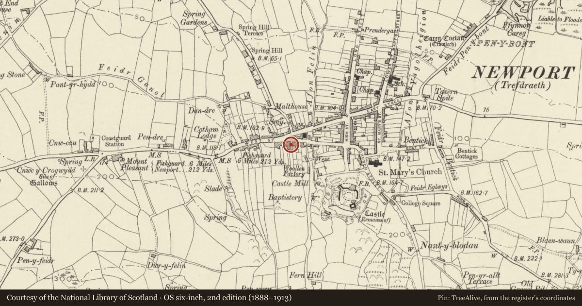 Ordnance Survey six-inch map, 2nd edition (1888–1913) covering the location of Berriman Terrace, Newport, Pembrokeshire, with a pin at the register's coordinates