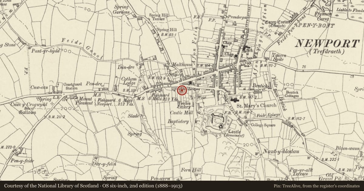 Ordnance Survey six-inch map, 2nd edition (1888–1913) covering the location of Berriman Terrace, Newport, Pembrokeshire, with a pin at the register's coordinates