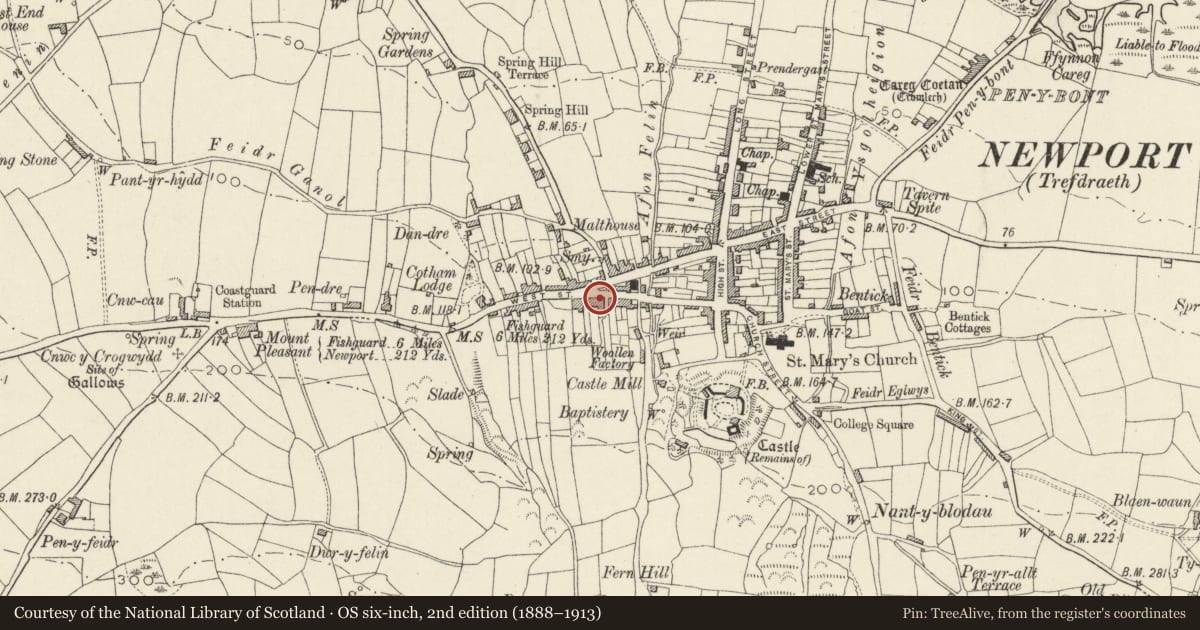 Ordnance Survey six-inch map, 2nd edition (1888–1913) covering the location of Awel y Mynydd, Newport, Pembrokeshire, with a pin at the register's coordinates