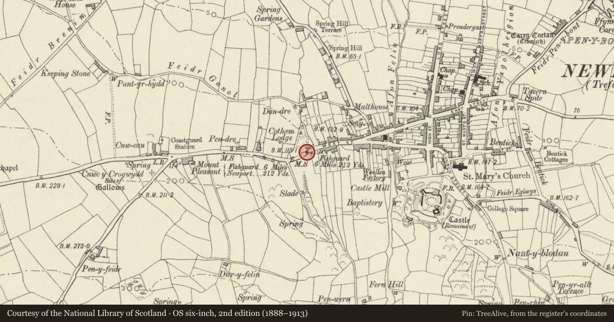 Ordnance Survey six-inch map, 2nd edition (1888–1913) covering the location of Roadside Wall at Cotham Lodge, Newport, Pembrokeshire, with a pin at the register's coordinates