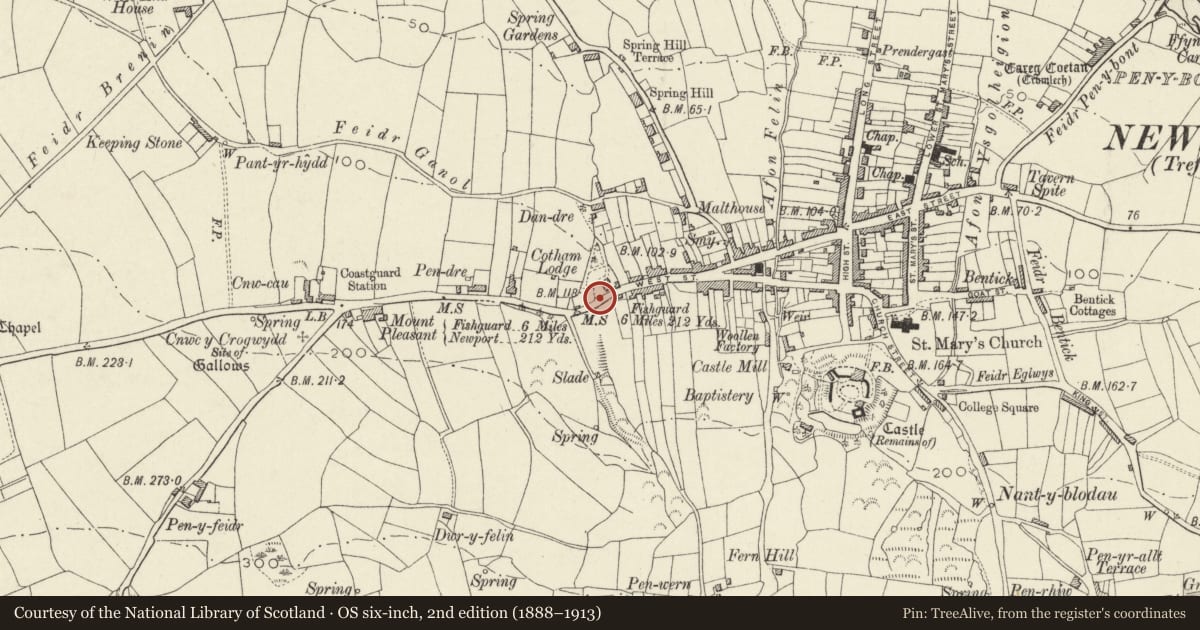 Ordnance Survey six-inch map, 2nd edition (1888–1913) covering the location of Gatepiers at Cotham Lodge, Newport, Pembrokeshire, with a pin at the register's coordinates
