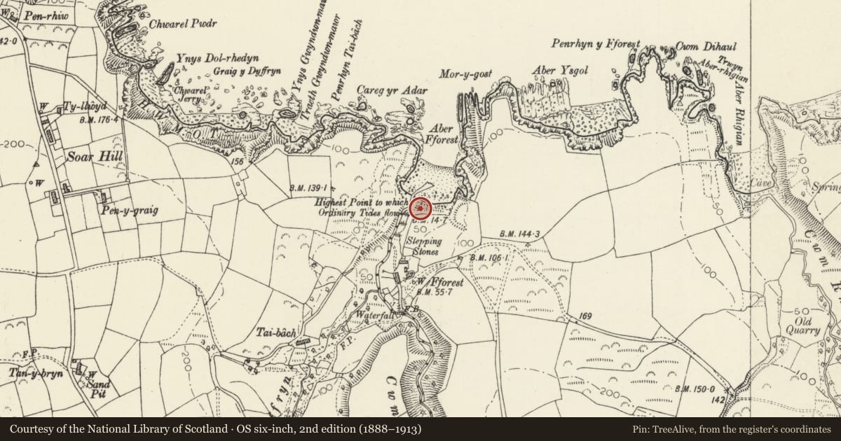 Ordnance Survey six-inch map, 2nd edition (1888–1913) covering the location of Limekiln on Aberfforest Beach, Newport, Pembrokeshire, with a pin at the register's coordinates